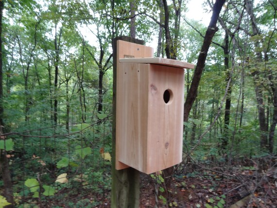 Red-Headed Woodpecker house by CedarFlight on Etsy