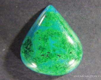 Eilat Stone cabochon, Israel. 25.89 carats
