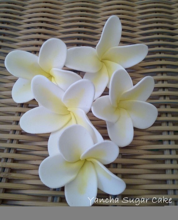 12 Plumeria Frangipani Edible Gumpaste Flowers by YanchaSugarCake