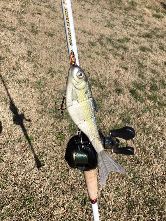 Gizzard shad fishing lures by JRossCreations on Etsy