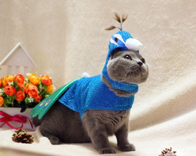 SALE!!! 25% Pet Clothing. Cat clothes, dog clothes. Funny clothing for the cat, Funny clothing for the dog. Costume peacock.