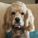 Maggie