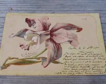 Vintage Antique Botanical postcard Lily soft colors illustration