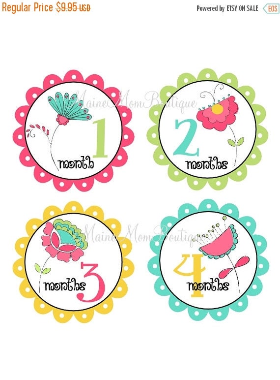 HUGE SALE Baby Girl Monthly Stickers Baby Month Stickers Milestone ...