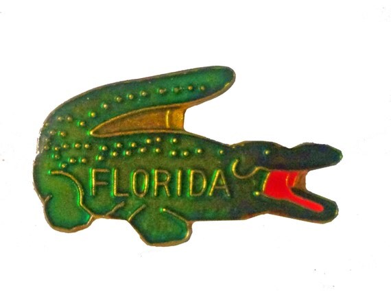 FLORIDA State vintage lapel cloisonne enamel by VintageTrafficUSA