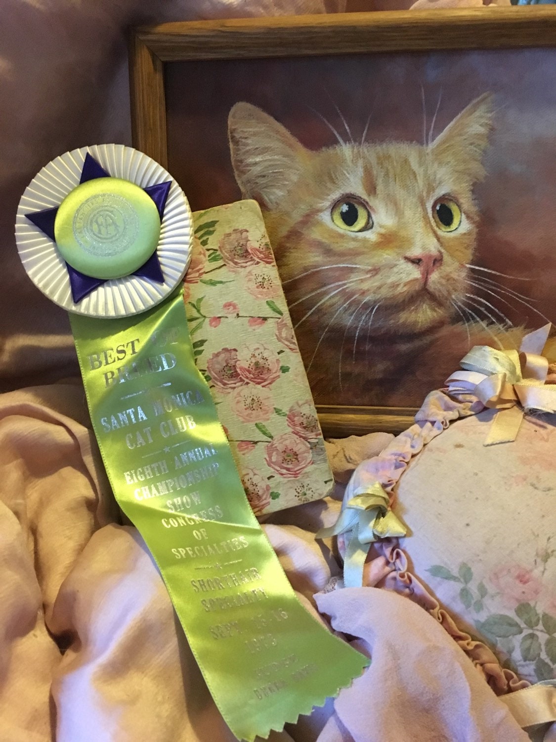Vintage CFA CAT Show Satin Ribbon Rosette Award Best of Breed