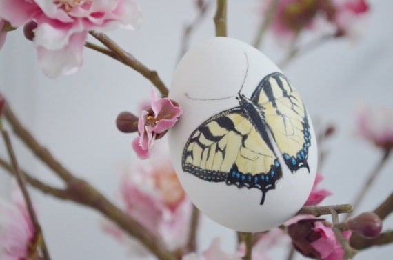 Hand painted butterfly on a white duck egg