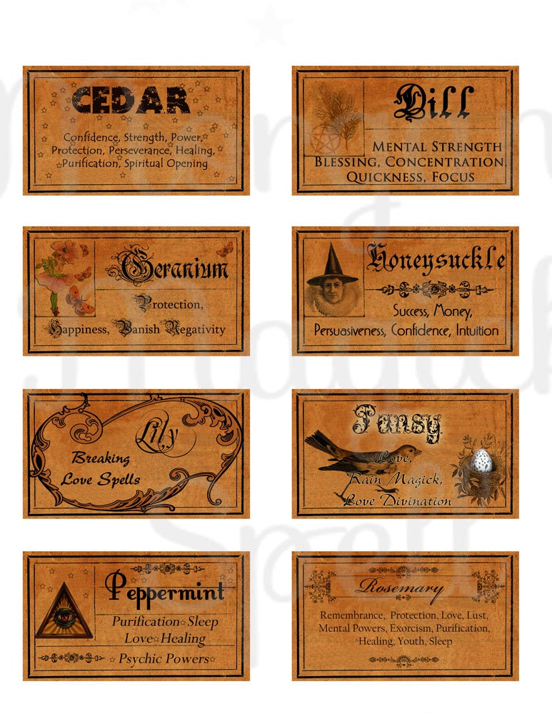 witch apothecary labels magick potion ingredient labels herb