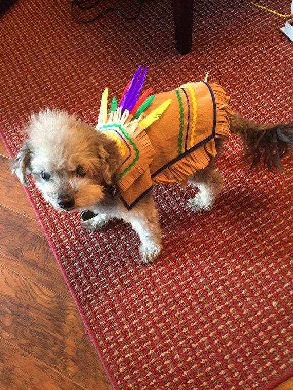 Items similar to Lil' Indian Dog Costume on Etsy