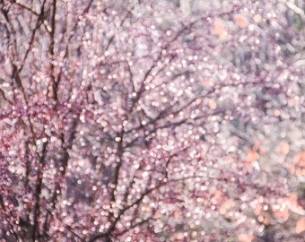Pastel Pink Plum Purple Bokeh Lights, Sparkle Abstract Photography, Pastel Bokeh, Jewel Tones, Nursery Decor Large Wall Art, Fine Art Print
