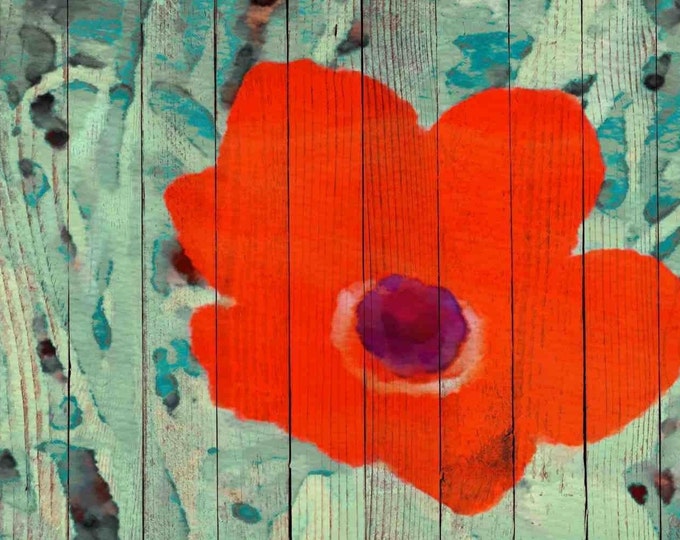 Red poppy. Canvas Print by Irena Orlov 24" x 36"