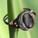 Wire Wrapped Ring, You Choose the metal, abalone shell Customize it Yourself! Wire Ring, Jewelry, Wire Ring, Solitaire Ring