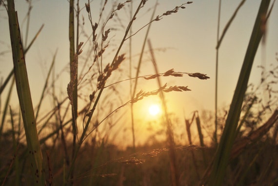 Rural Photography Landscape Field Sunset Nature Country