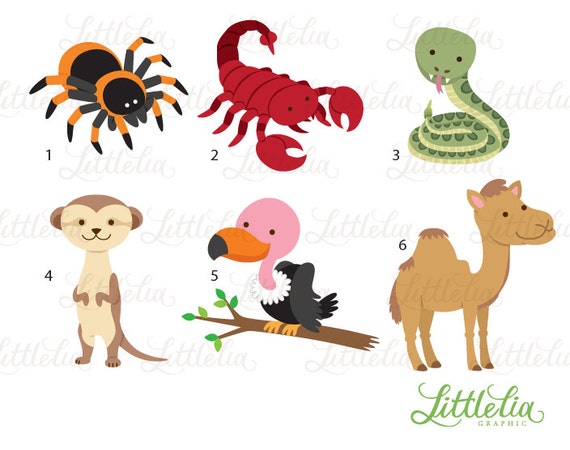 Desert animal clipart animal clipart desert clipart