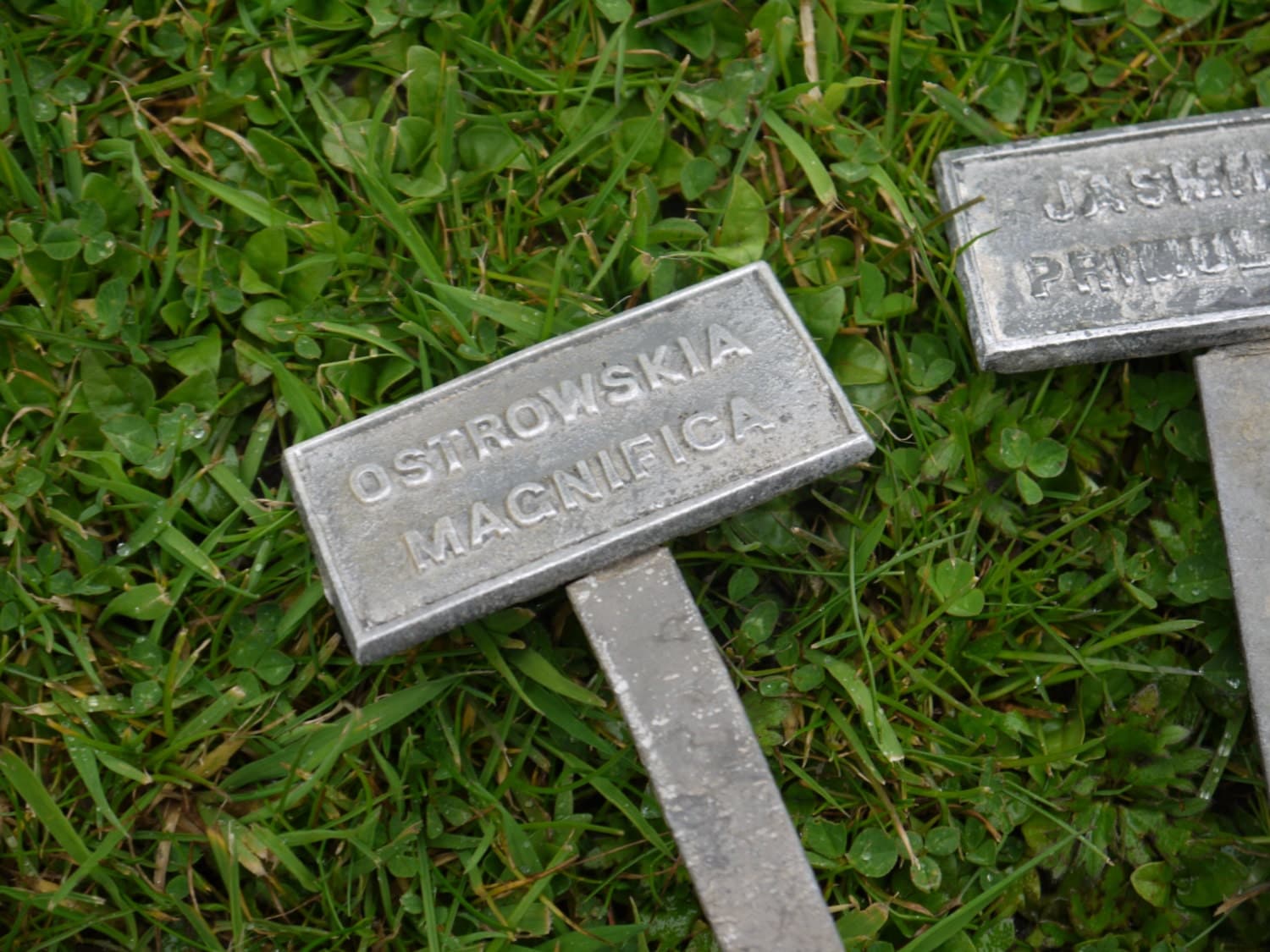 Vintage Metal Plant Labels by VintiqueTree on Etsy