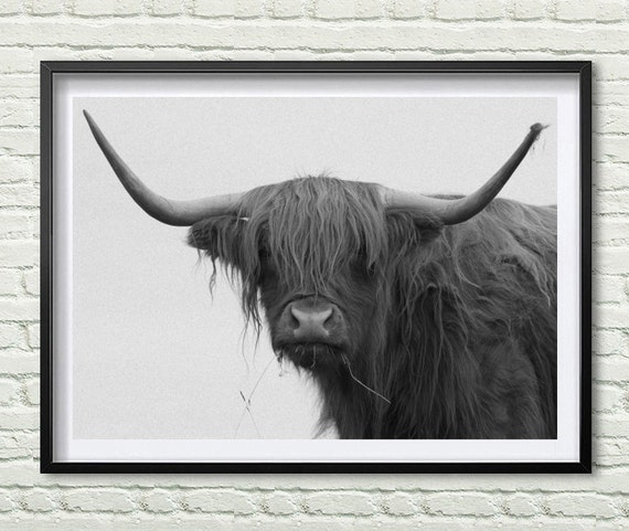 Buffalo Print Bison Wall Art Black and White Buffalo Modern