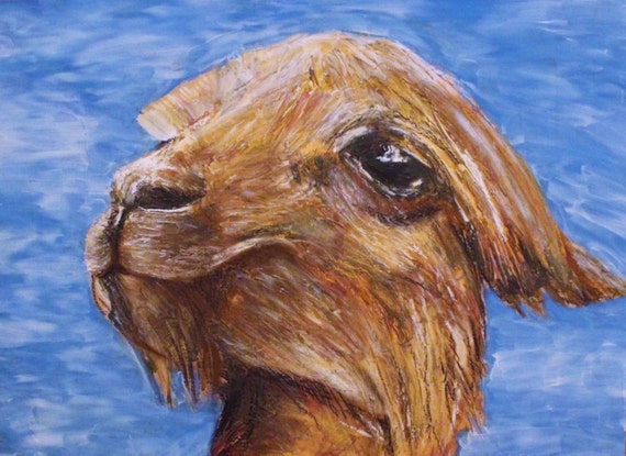 Download Alpaca Original Animal Painting Llama 12 x 17 by ...