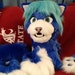 Custom Fursuits