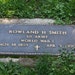 robin smith