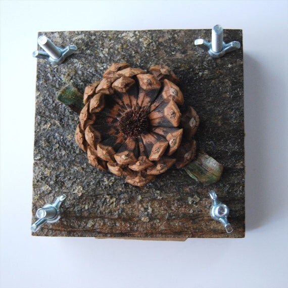Rustic Wooden Flower Press 5 x 5 Weathered Pine