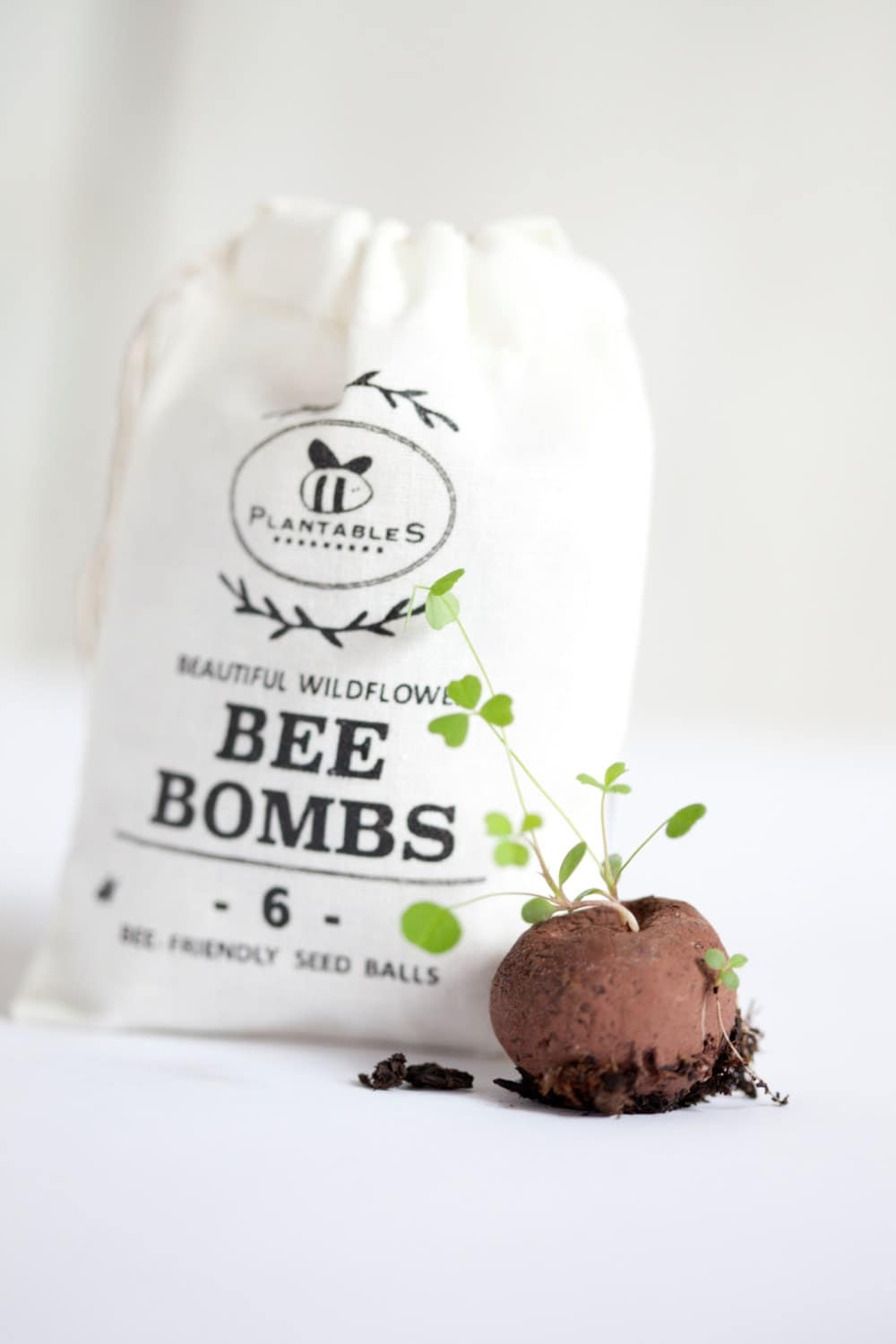 Bee Bombs wildflower seed balls for pollinators bag of 6