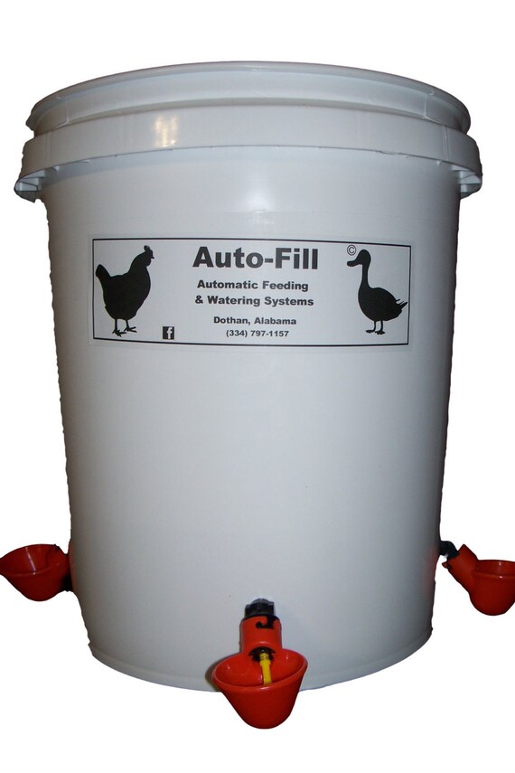 DELUXE Automatic Hanging Chicken Waterer 4 Drinker Cups 5