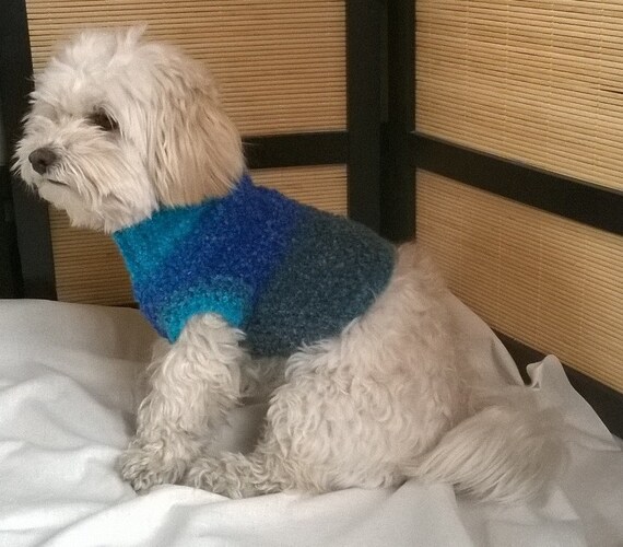 dog sweater small custom dog clothes maltese dog by HappyDogLucky
