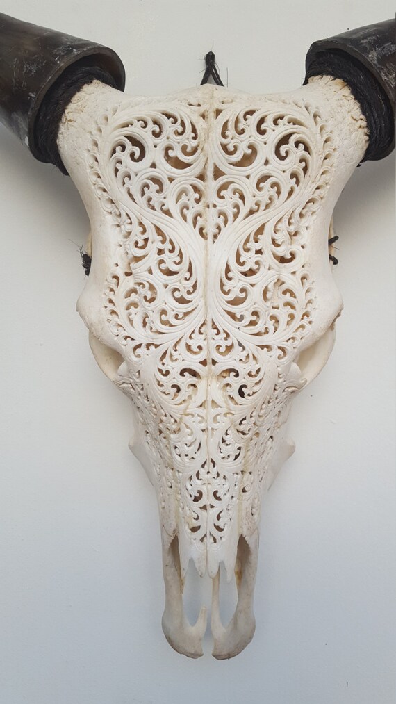 Unique Carved Cow Skull