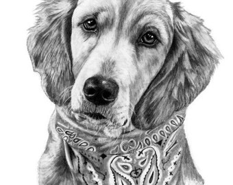 Custom Pet Portrait Dog Sketch From Photo Gift Idea