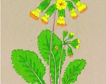 10 COWSLIPS Wild Spring Flowers (Small) Craft Jewellery Decoration DECALS Transfers Unique Retro hand-drawn