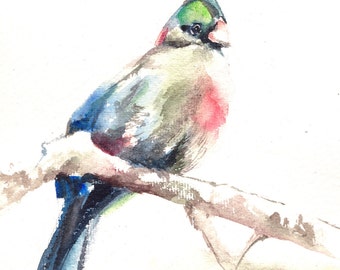 Bird painting, ORIGINAL Watercolor Turaco Bird, bird art, watercolour art