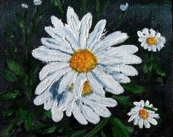 3685 - Daisy #1