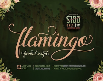 Formal script font Flamingo. Calligraphy font with swashes. 12-20 alternates for each letter. Multilingual.
