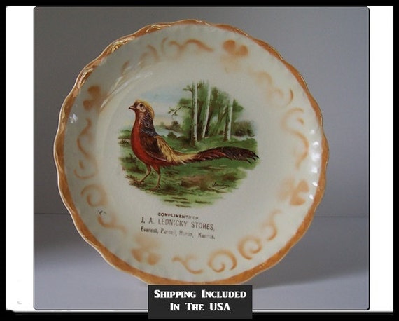 Kansas Advertising Plate by D.E. McNicol