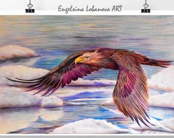 Pencils,Drawing,Realistic colored pencil drawing techniques ,Wild bird in bright colors