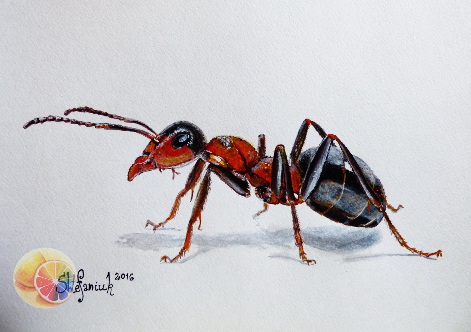 Red Ant Painting Ant Painting 8x12 Acrylic on