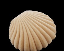 Unique shell ring box related items | Etsy