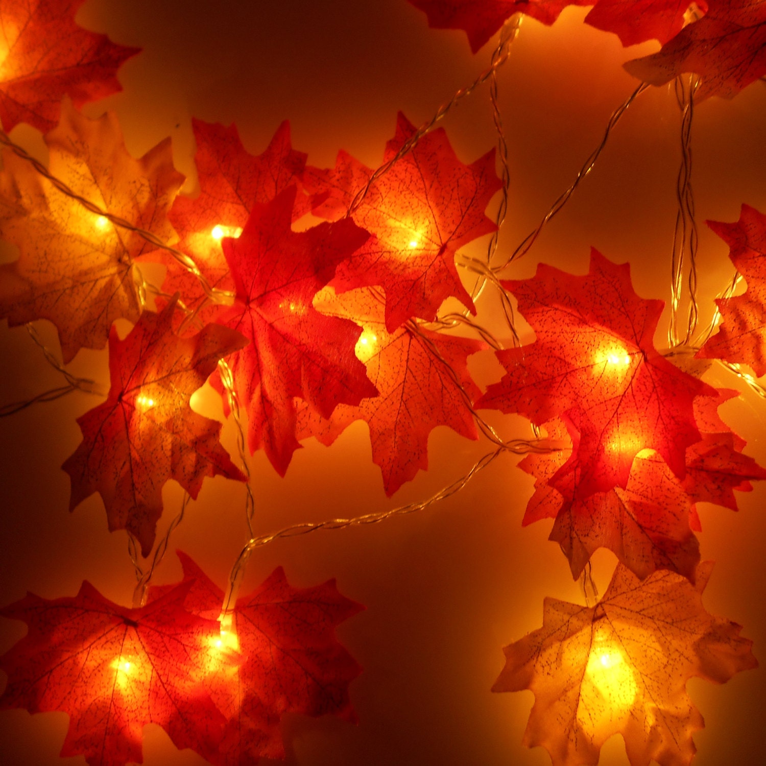 Autumn Fairy Lights / String Lights Autumn by AutumnWeddings