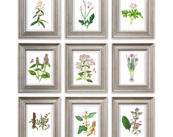 Flowers Botanical print illustration botanical art poster plants print wall art decor kitchen home decor pink green art SET of 9