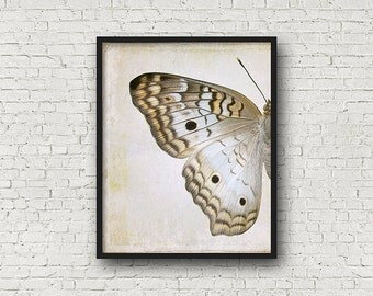 butterfly wall art – Etsy