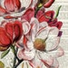 Joelle Gladwin