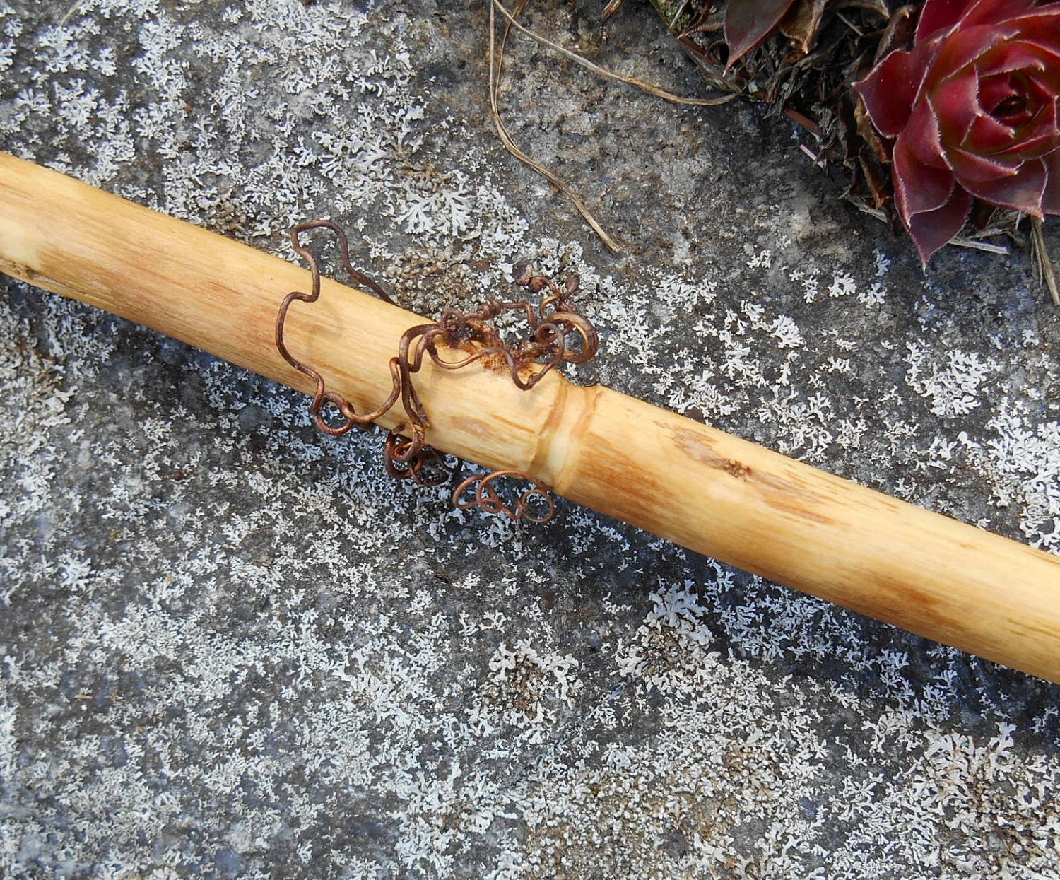 Vine wood magic wand wood wand FREE US Shipping witchcraft