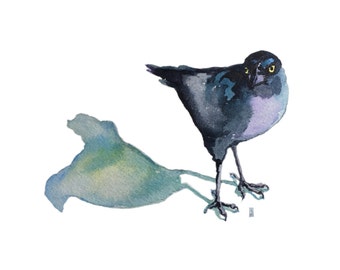 Black bird print, raven, bird art print, BIRD PRINT