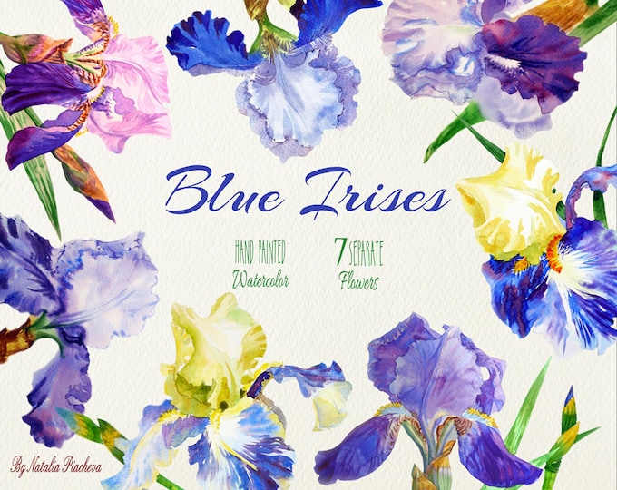 Blue Irises. Watercolor clip art, clipart, botanical, blue, flower, bouquet, leaf, iris, garden, wedding