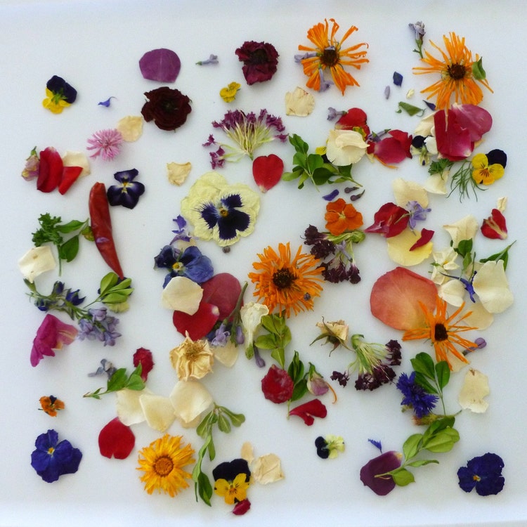 Dried Flower Confetti Wedding Confetti Flower by LarkspurHill