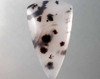 Montana Agate Designer Cabochon SALE 25% OFF