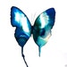 azure turquoise and ultramarine blue and gold butterfly.