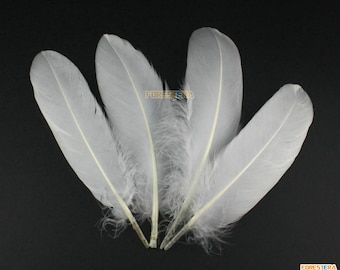 50 Pieces White Feather 14-20cm (YM4)