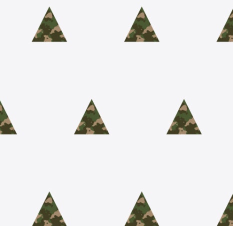 Camo Triangle