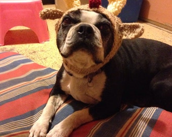 Crochet Reindeer Dog Hat for Small Dog